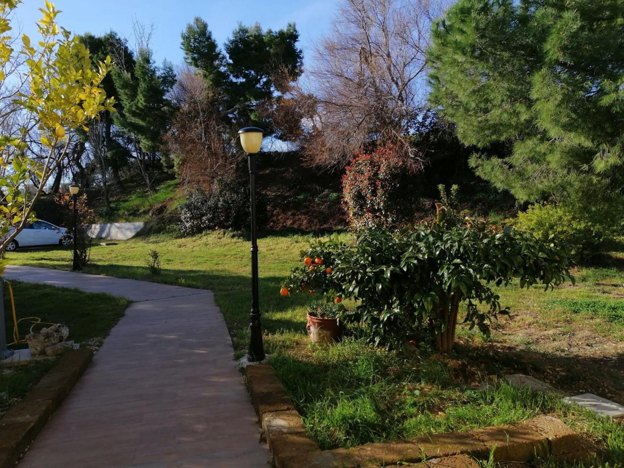 Le Tamerici B&B Ancona Luaran gambar